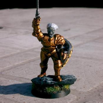 Paladin by Shaper78