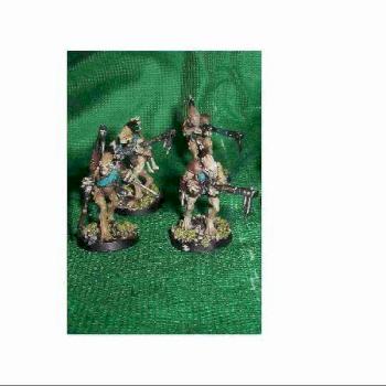 Tau kroot detail by wiseman