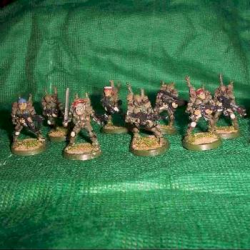 Imperial Guard stoorm troopers by wiseman