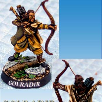 golradir, wood elf by stealth penguin