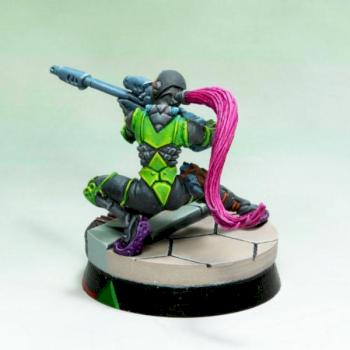 Ninja sniper by cougar