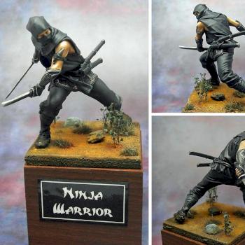 Ninja Warrior by Blowy