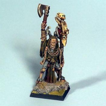 Beasts of Chaos Bray Shaman by Herod
