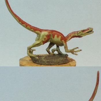 Velociraptor by Caerban
