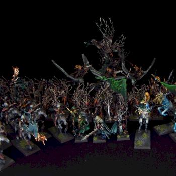 Wood Elves Army by Awaken Realms