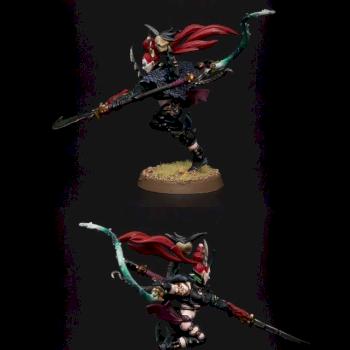 Dark Eldar Succubus by dynamic168