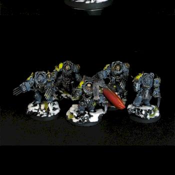 Wolf Guard Terminators by Modelling Art Studio