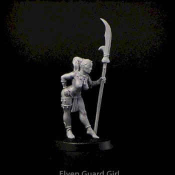 Female Elf Guard by Brother Vinni