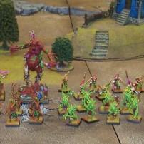Fully Painted Wood Elf Army by grendelzero