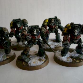 Space wolf terminators squad by wolveab