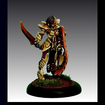 Casiatta, Anti-Paladin by Dark Elf Miniatures