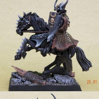 Dark Elf Highborn by Sperber