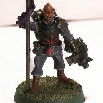 Adepticon 2007 Icon Bearer by hammerandbrush