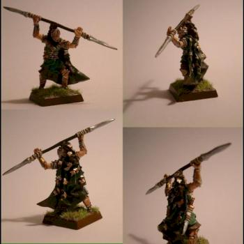 Wood Elf Eternal Guard by Colo
