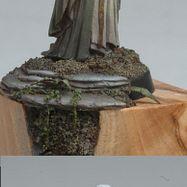 Celeborn Silver@ GD-FR 07 by NarniaBoy