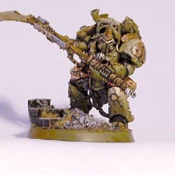 Typhus by apophis