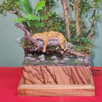 Panthera Onca by Eric Van Renterghem