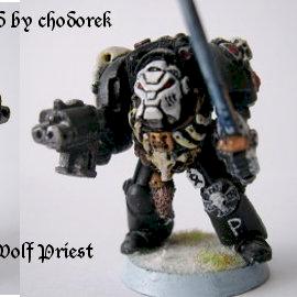 Sw Wolf Priest by chodorek