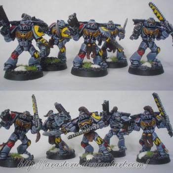 Space Wolves Grey Hunters 1. by Zuzu