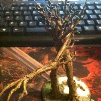 Ent/Wood elf treeman pt 3 by purge08