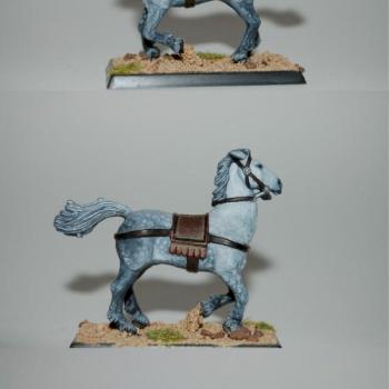 horse of a lady bretonnian by Kyra