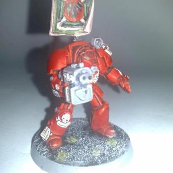 Blood Angels terminator w/ storm bolter by omniver