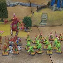 Fully Painted Wood Elf Army by grendelzero