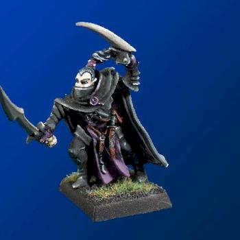 Dark Elf Assassin by Skull Basha Studios