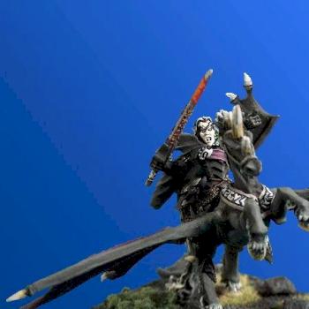 Dark elf noble Conversion by Skull Basha Studios