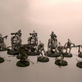 Tau Empire Kroot Squad by TheDarkApostle