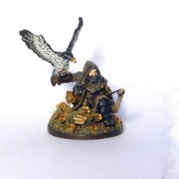 Falconer Of Arnor by Rescrus