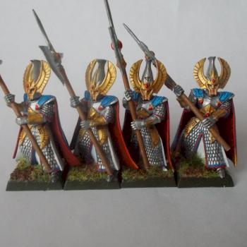 Phoenix guard by witddd