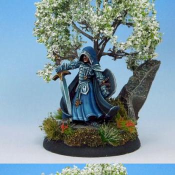 Sir Conlan (reaper quarterly 1st place) by miniking