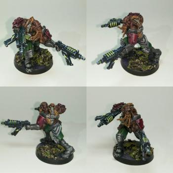 Krakot Renegade - mercenary by House