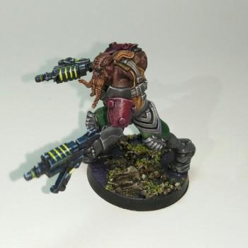 Krakot Renegade - merc by House