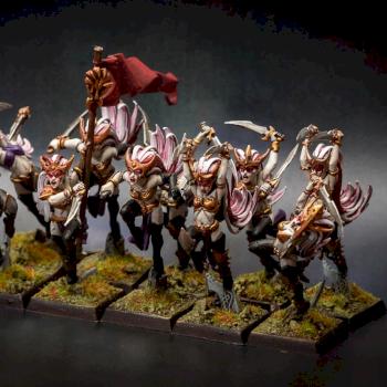 Witch Elves unit by tabriself