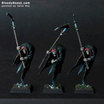 Vampire Counts Cairn Wraiths by BloodyBeast.com