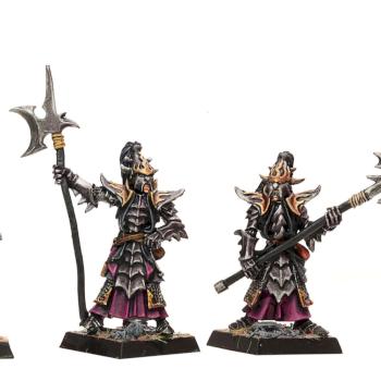 dark elf black guard by gilsby