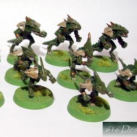 Lizardman Bloodbowl team. by E616