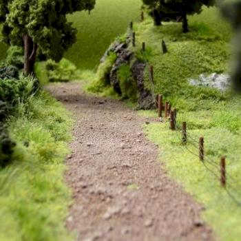Farmland by Shawn Morris