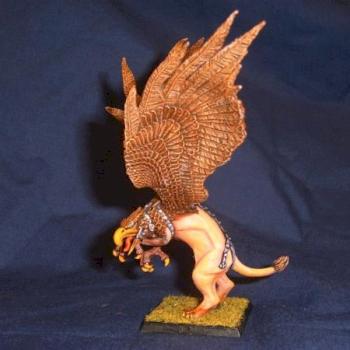 Hawkstooth by spot
