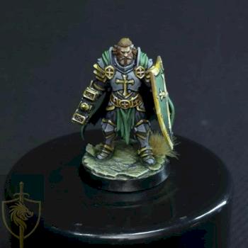 Paladin Hero by McCragge