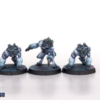 Taigha Creatures by MadFlyArtStudio