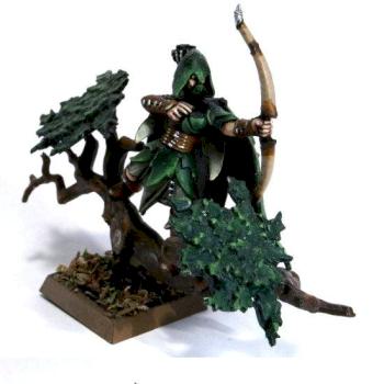 Wood Elf Scout Conversion by calinleafshade