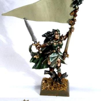 Wood Elf Battle Standard Bearer by calinleafshade