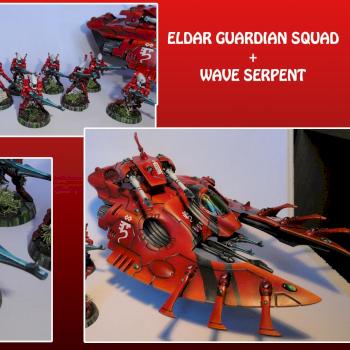 Saim Hann Eldar Guardian Squad by GhiaccioloPainting