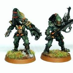 Striking Scorpions by Vet Sgt Ezekiel