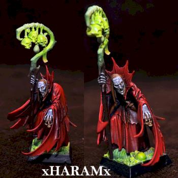 Vampire Counts Necromancer by xHaramx