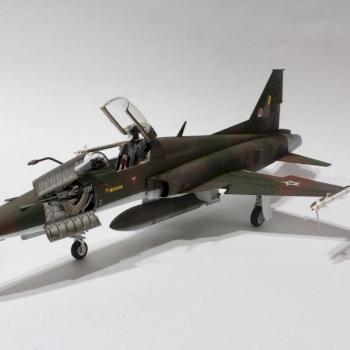 F-5E Tiger II by Vrykolakasbr