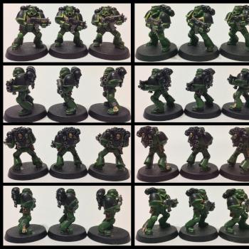 Salamanders by BFG